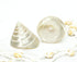 Pearled White Trochus Seashell
